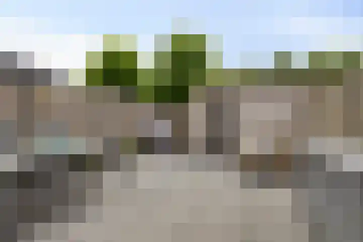 Klaverveld 41 Bavel thumbnail 26