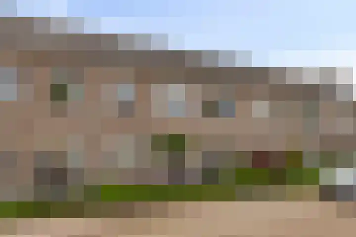 Klaverveld 41 Bavel thumbnail 6