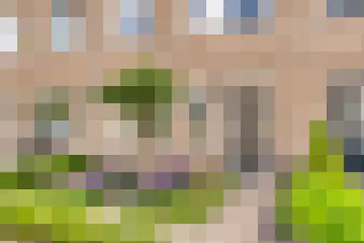 Klaverveld 41 Bavel thumbnail 8