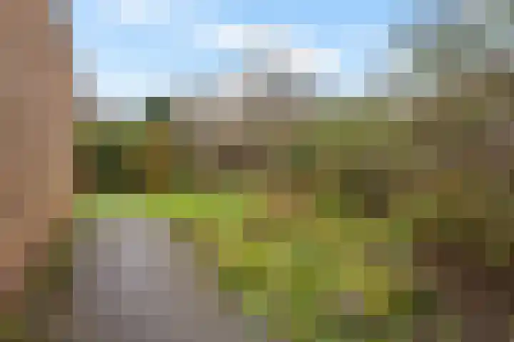 Klaverveld 7 Assen thumbnail 19