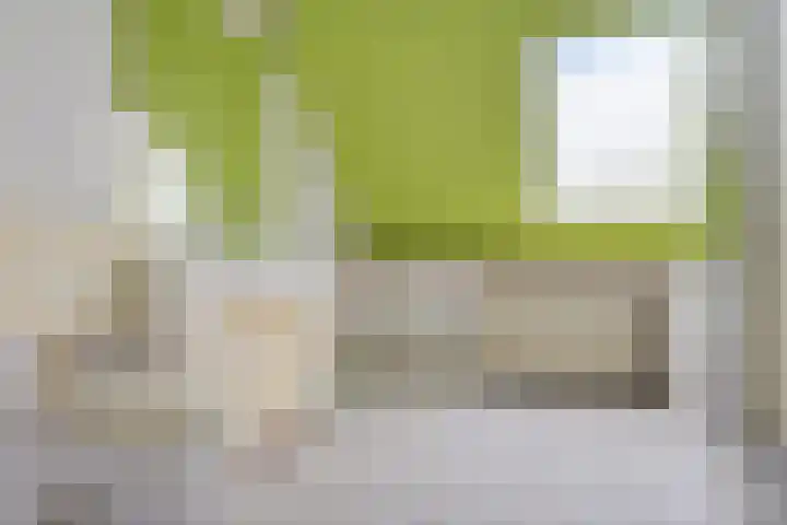 Klaverveld 7 Assen thumbnail 28