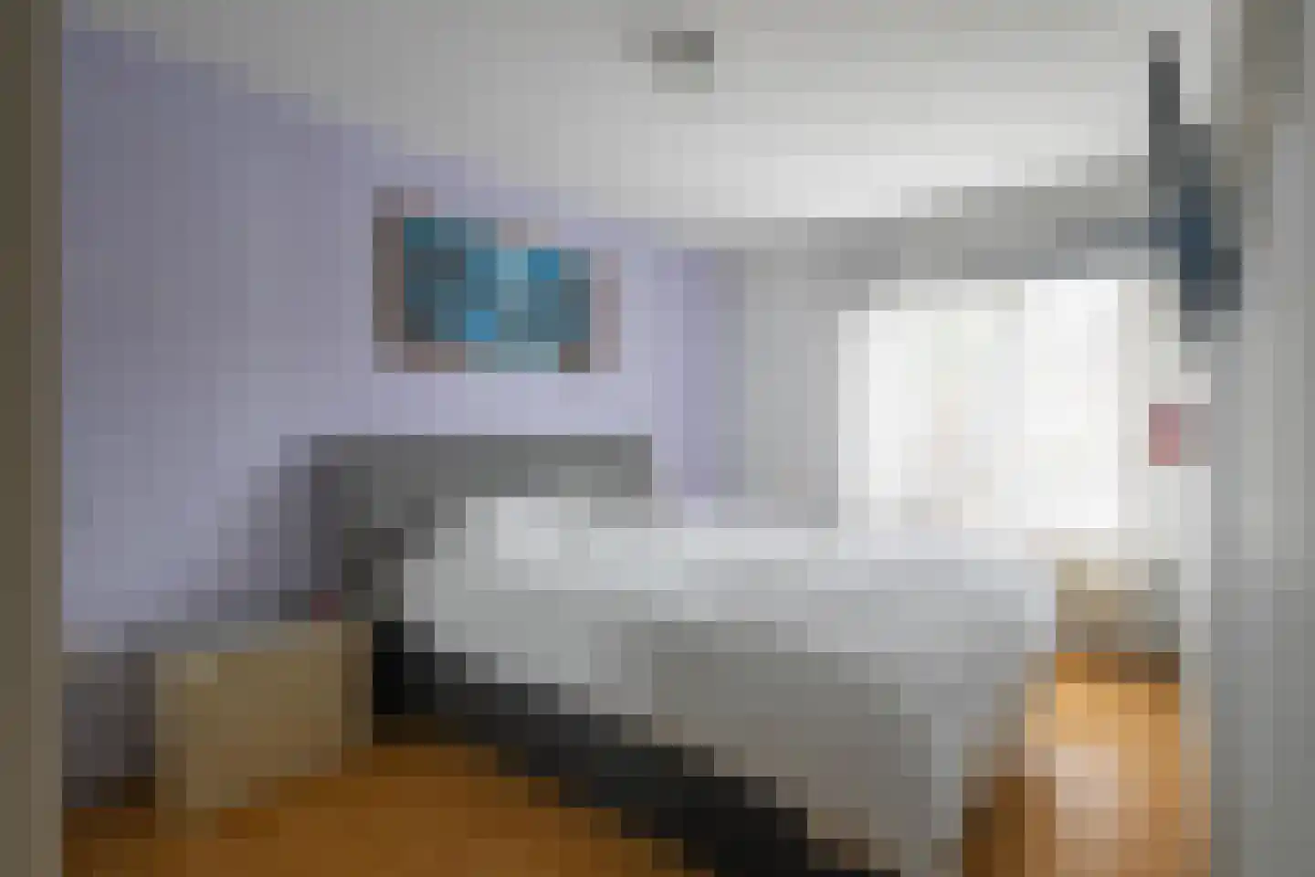 Klaverweerd 13 Maastricht thumbnail 10