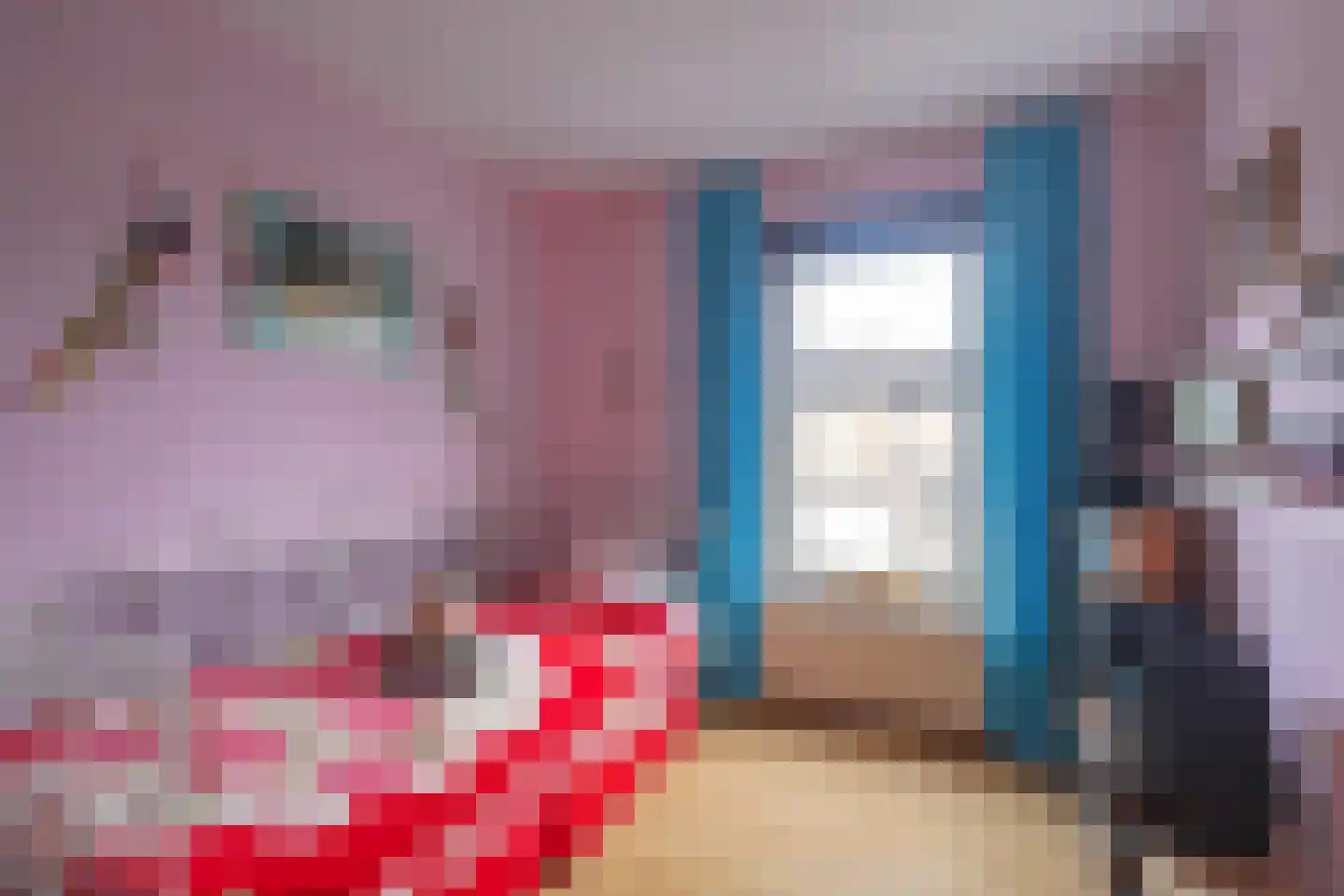 Klaverweerd 13 Maastricht thumbnail 11