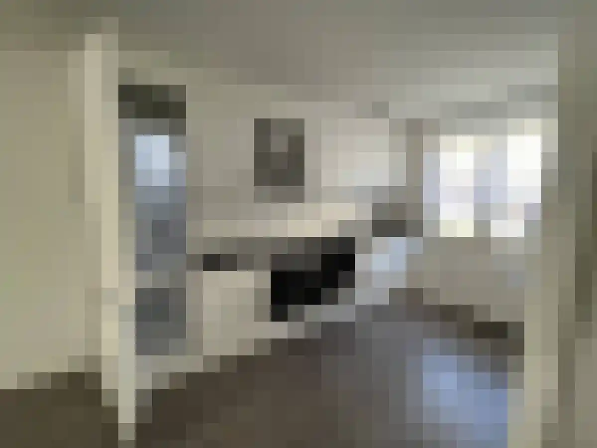 Klaverweerd 15 Maastricht thumbnail 6