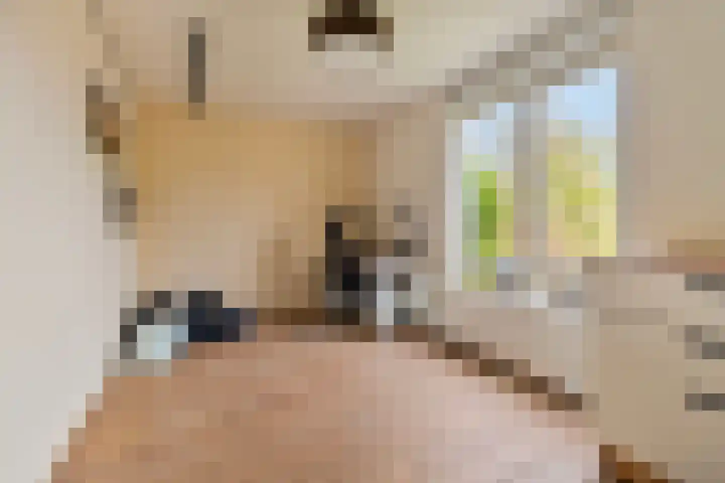 Klaverweerd 17 Voerendaal thumbnail 10