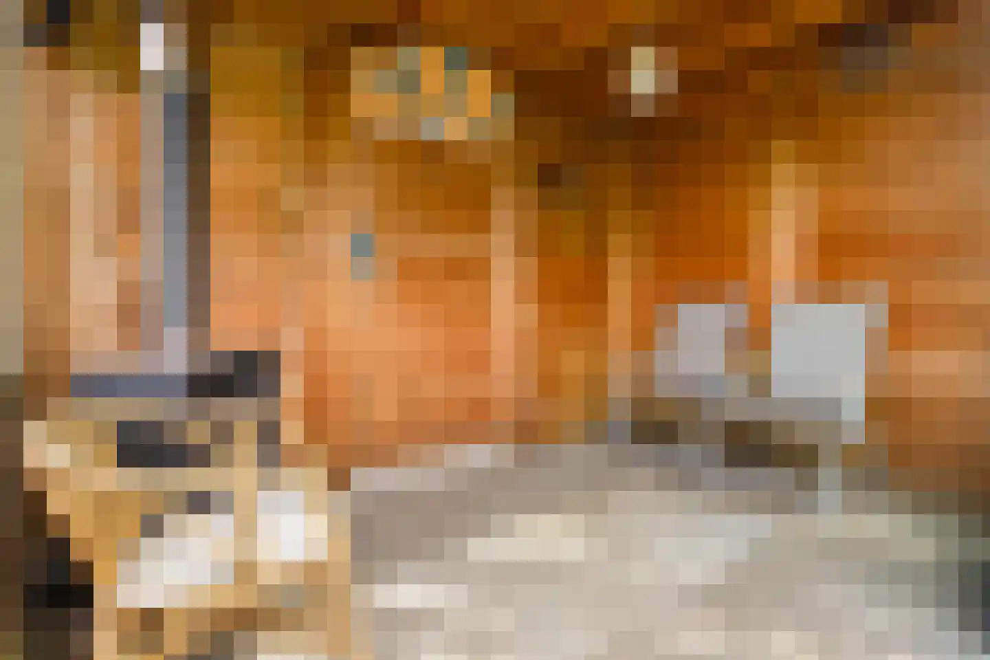 Klaverweerd 17 Voerendaal thumbnail 6