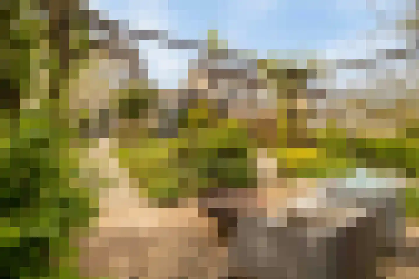 Klaverweerd 17 Voerendaal thumbnail 7