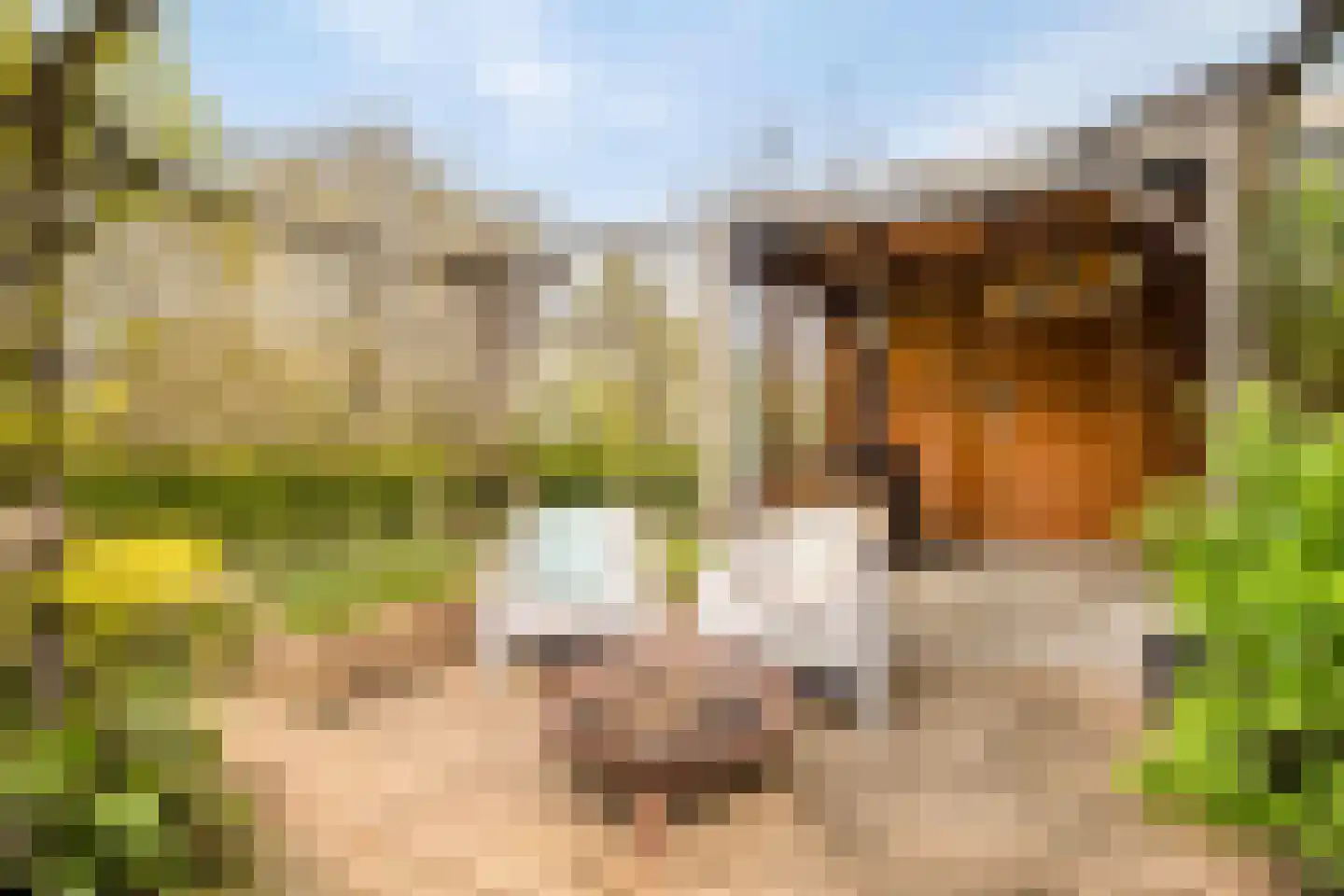Klaverweerd 17 Voerendaal thumbnail 8