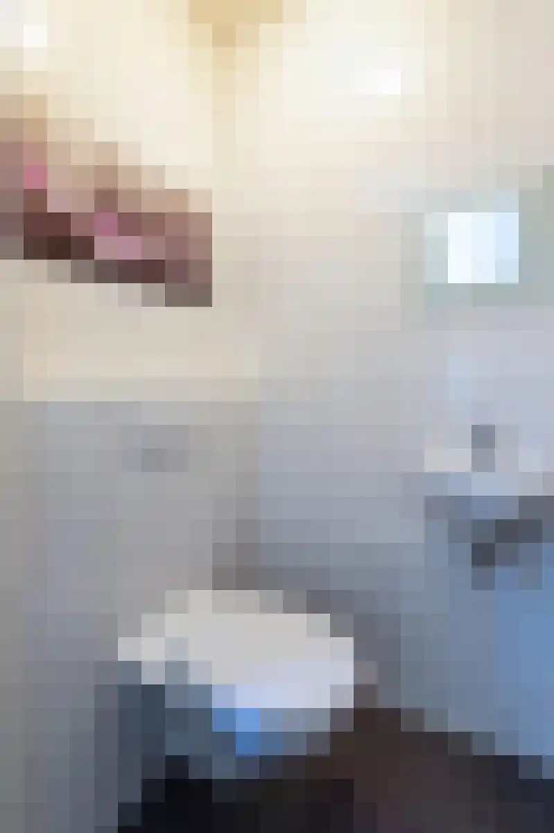 Klaverweerd 29 Voerendaal thumbnail 8