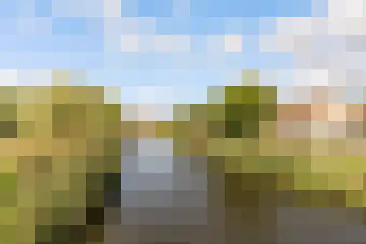 Klaverweg 21 Almere thumbnail 37