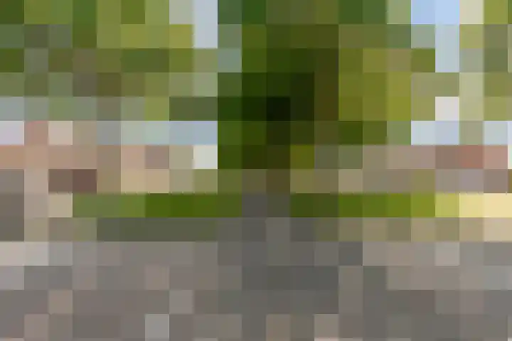 Klaverweg 21 Almere thumbnail 42