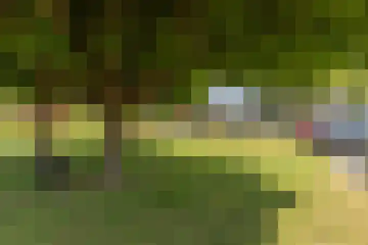 Klaverweg 28 Zaandam thumbnail 6