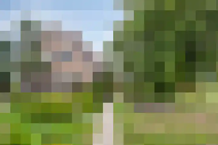 Klaverweg 3 Colijnsplaat thumbnail 10