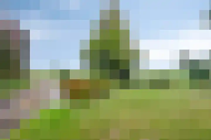 Klaverweg 3 Colijnsplaat thumbnail 11