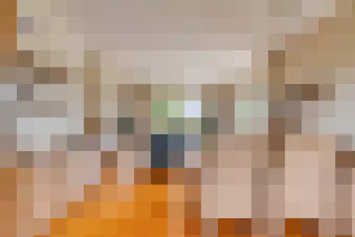 Klaverweg 3 Colijnsplaat thumbnail 19