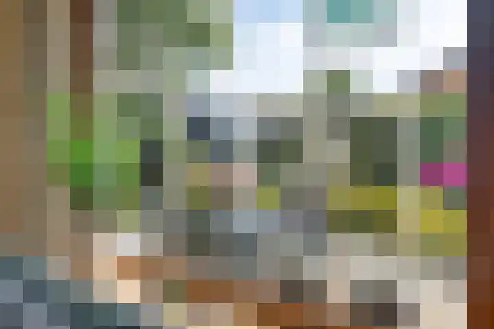 Klaverweg 3 Colijnsplaat thumbnail 20