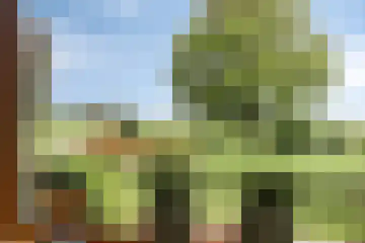 Klaverweg 3 Colijnsplaat thumbnail 21