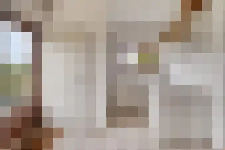 Klaverweg 3 Colijnsplaat thumbnail 24