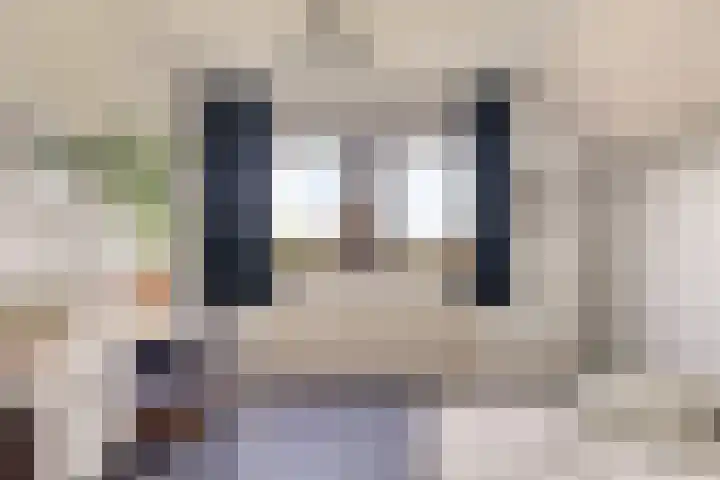 Klaverweg 3 Colijnsplaat thumbnail 37