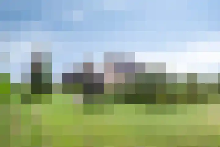 Klaverweg 3 Colijnsplaat thumbnail 39
