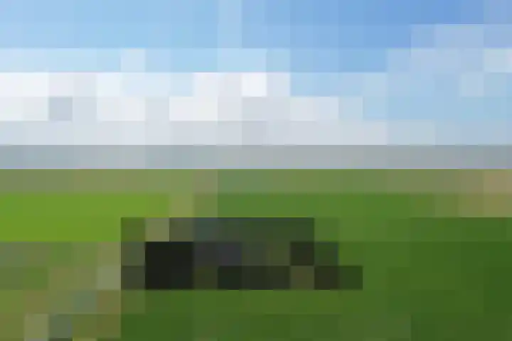 Klaverweg 3 Colijnsplaat thumbnail 4