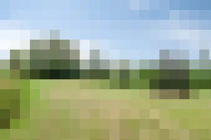 Klaverweg 3 Colijnsplaat thumbnail 41