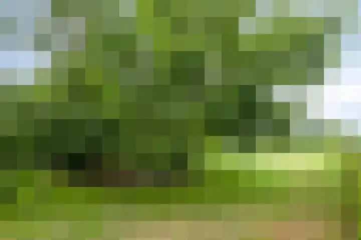 Klaverweg 3 Colijnsplaat thumbnail 42