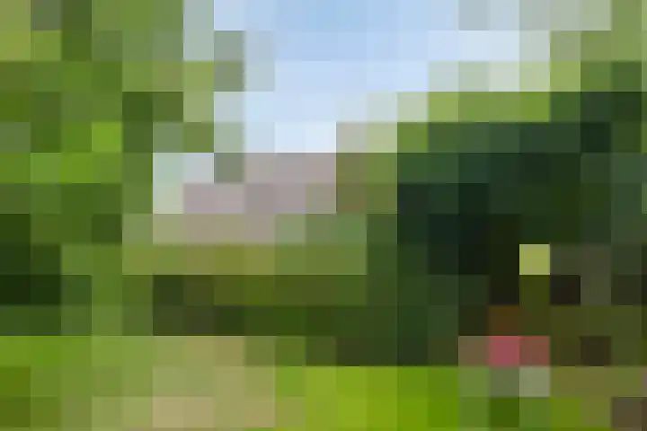 Klaverweg 3 Colijnsplaat thumbnail 43