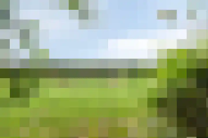 Klaverweg 3 Colijnsplaat thumbnail 44