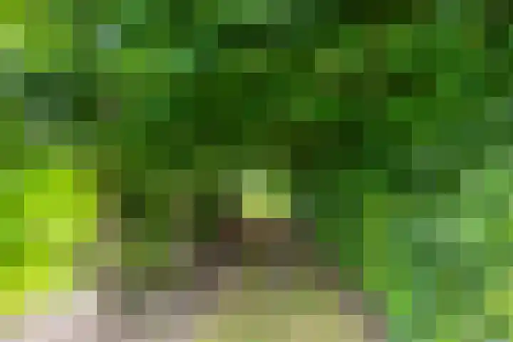 Klaverweg 3 Colijnsplaat thumbnail 45