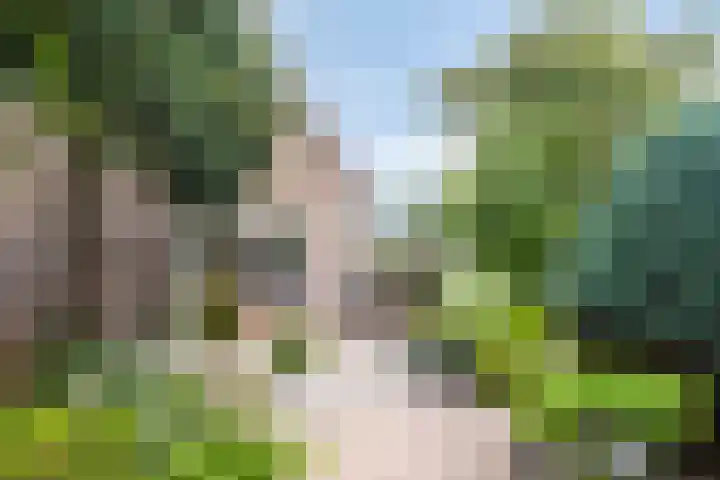 Klaverweg 3 Colijnsplaat thumbnail 46