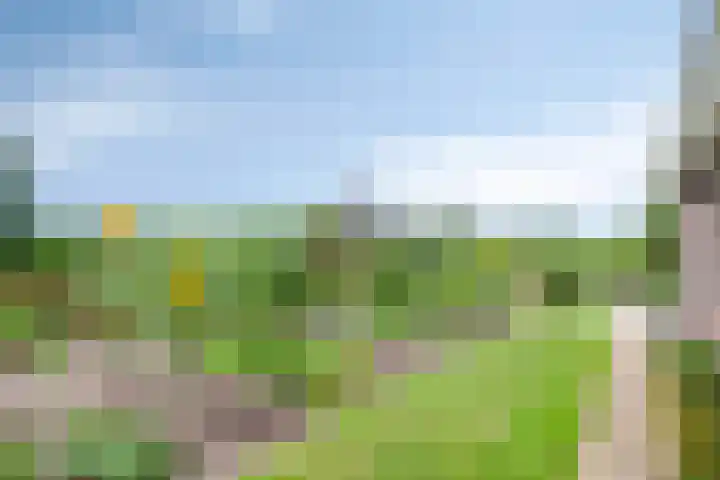 Klaverweg 3 Colijnsplaat thumbnail 47