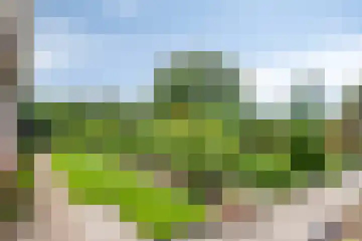 Klaverweg 3 Colijnsplaat thumbnail 48