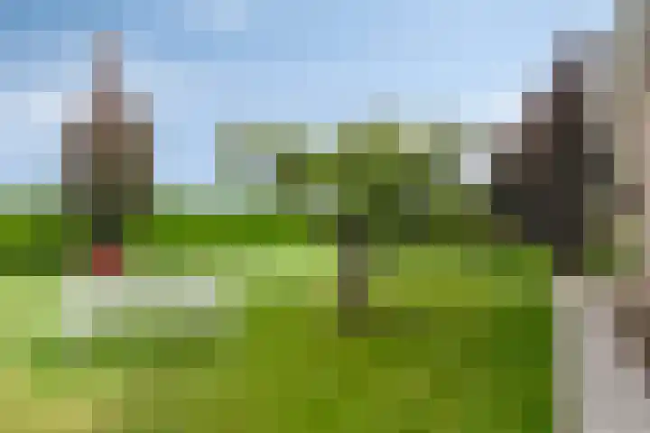 Klaverweg 3 Colijnsplaat thumbnail 49