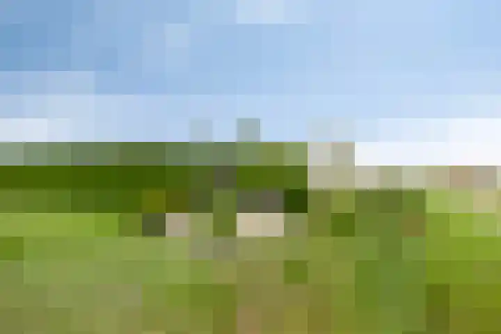Klaverweg 3 Colijnsplaat thumbnail 50
