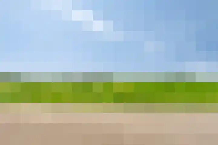 Klaverweg 3 Colijnsplaat thumbnail 54