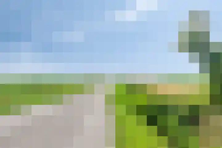 Klaverweg 3 Colijnsplaat thumbnail 55