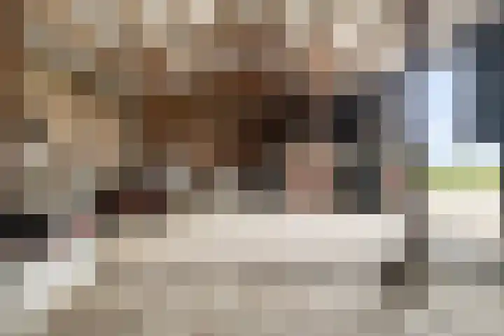 Klaverweg 3 Colijnsplaat thumbnail 57