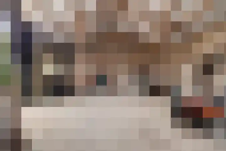 Klaverweg 3 Colijnsplaat thumbnail 58