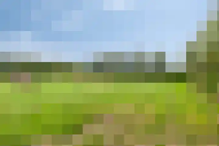 Klaverweg 3 Colijnsplaat thumbnail 59