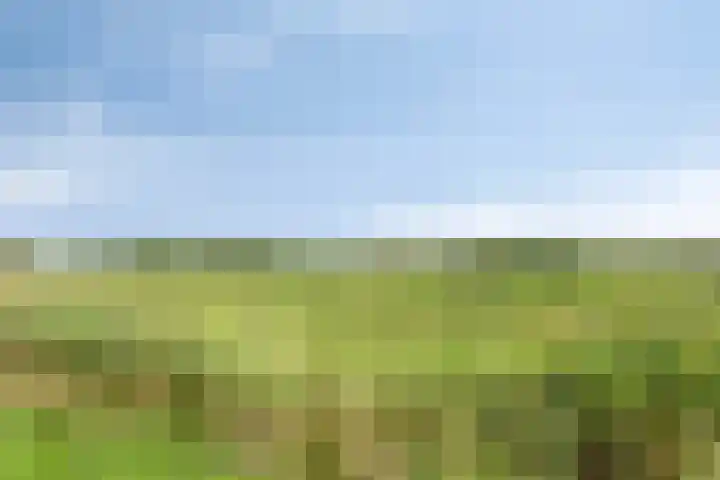 Klaverweg 3 Colijnsplaat thumbnail 60