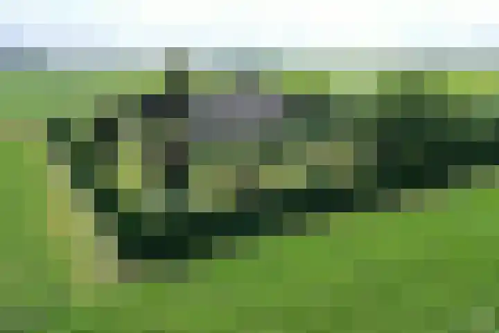 Klaverweg 3 Colijnsplaat thumbnail 62