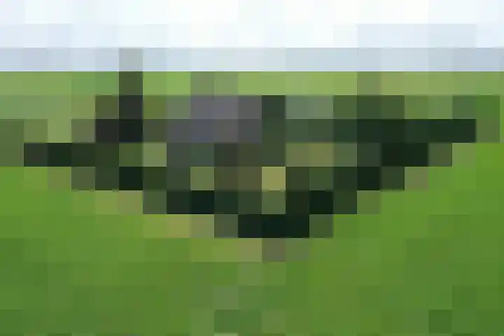Klaverweg 3 Colijnsplaat thumbnail 63