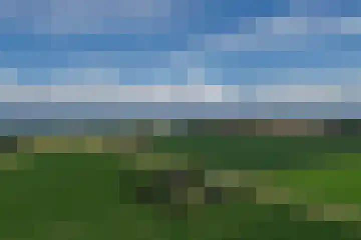 Klaverweg 3 Colijnsplaat thumbnail 64