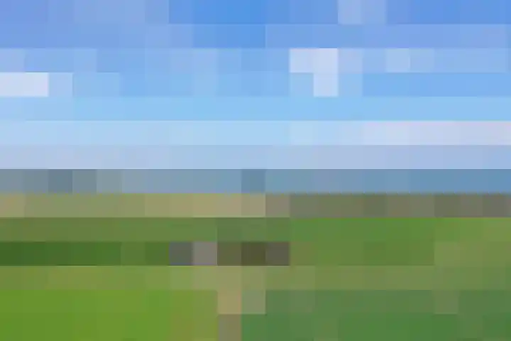 Klaverweg 3 Colijnsplaat thumbnail 65