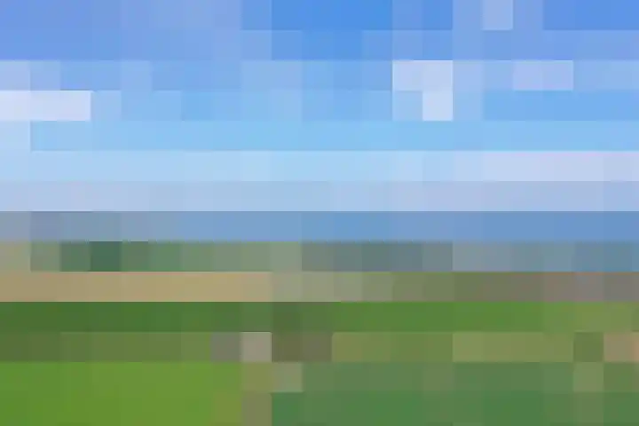 Klaverweg 3 Colijnsplaat thumbnail 66