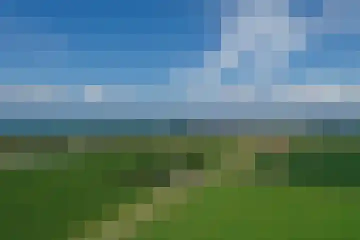 Klaverweg 3 Colijnsplaat thumbnail 67