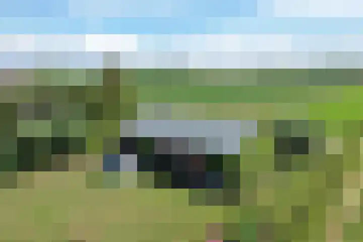 Klaverweg 3 Colijnsplaat thumbnail 69