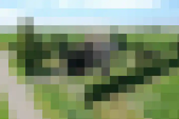 Klaverweg 3 Colijnsplaat thumbnail 70