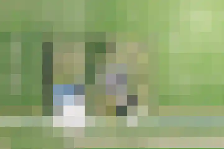 Klaverweg 3 Colijnsplaat thumbnail 75